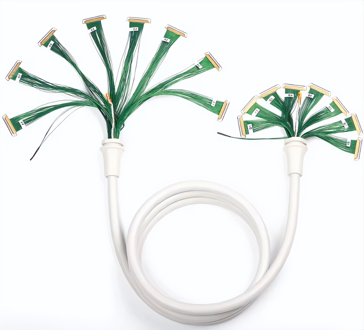 1762753801434870.jpeg 4.jpeg