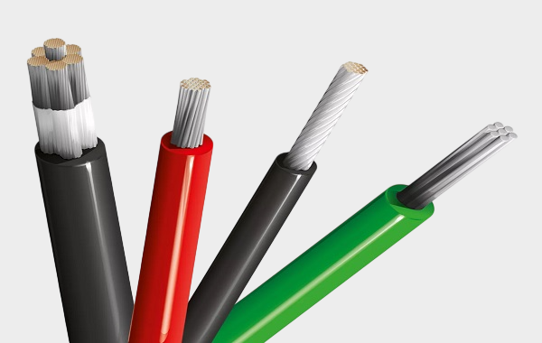 1768898334669420.png 3.png